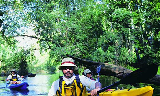 Campeche_30MayaTrain.png