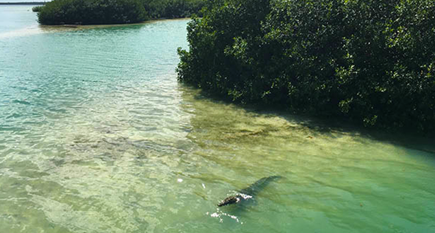 QuintanaRoo_74-1.png