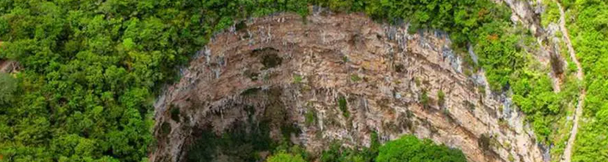 chiapas_100MayaTrain.png
