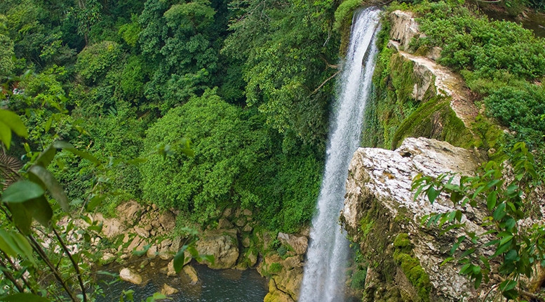 chiapas_06.png